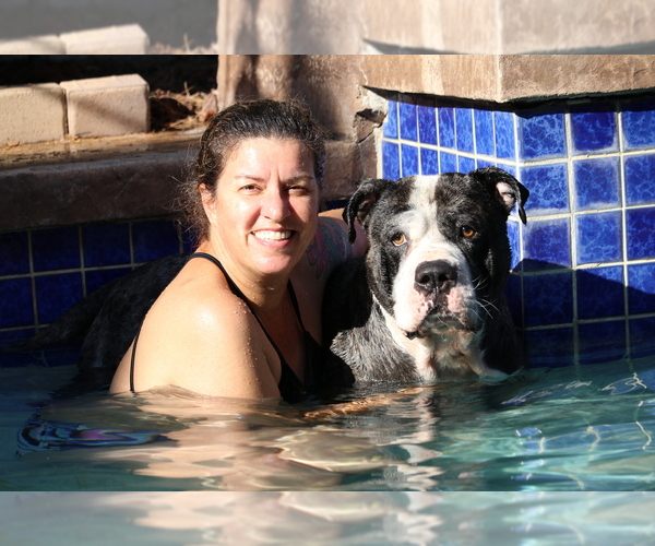 Medium Photo #2  Breeder Profile in HUNTINGTON BEACH, CA, USA