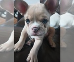 Small #5 Breeder Profile image