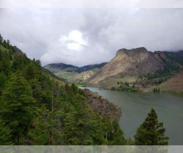 Medium Photo #1  Breeder Profile in POCATELLO, ID, USA