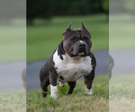 Small #7 Breeder Profile image