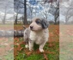 Small Photo #2  Breeder Profile in WILLS POINT, TX, USA