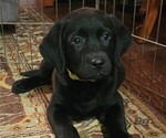 Small #1 Breeder Profile image