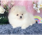 Small #7 Breeder Profile image
