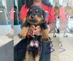 Small #25 Breeder Profile image