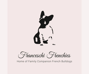 Main photo of French Bulldog Dog Breeder near AVONDALE, PA, USA
