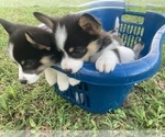 Small #22 Breeder Profile image