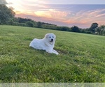 Small #5 Breeder Profile image