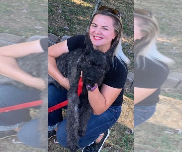 Medium Photo #2  Breeder Profile in S CHARLESTON, WV, USA