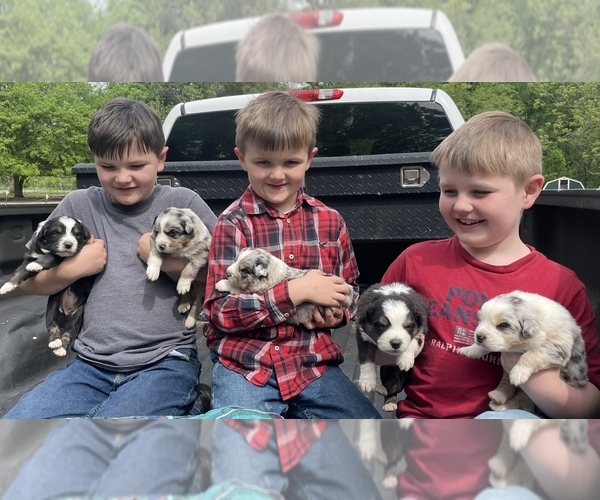 Medium Photo #1  Breeder Profile in DRUMMONDS, TN, USA