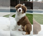 Small #8 Breeder Profile image
