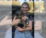 Small #51 Breeder Profile image