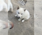 Small #7 Breeder Profile image