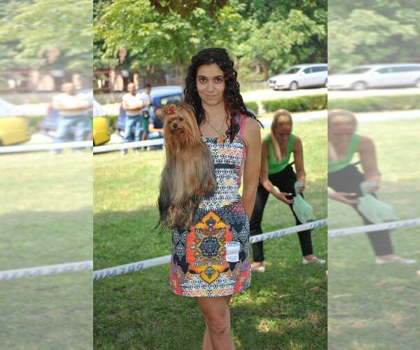 Medium Photo #20  Breeder Profile in SCHAUMBURG, IL, USA