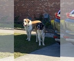 Small #12 Breeder Profile image