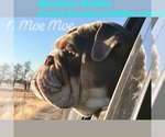Small #19 Breeder Profile image