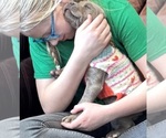 Small #11 Breeder Profile image