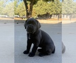 Small #5 Breeder Profile image