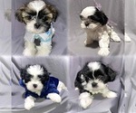 Small #26 Breeder Profile image