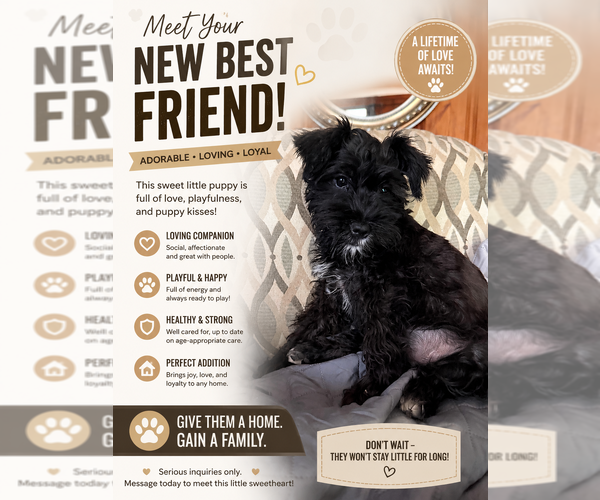 Medium Photo #1  Breeder Profile in PROVINCETOWN, MA, USA