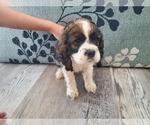 Small #1 Breeder Profile image