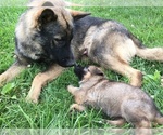 Small #28 Breeder Profile image
