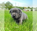 Small #7 Breeder Profile image