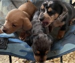 Small #10 Breeder Profile image
