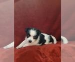 Small #148 Breeder Profile image