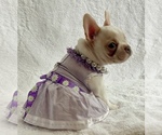 Small #13 Breeder Profile image