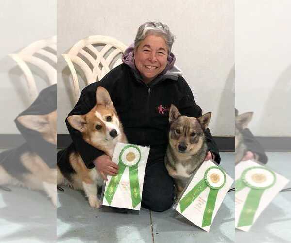 Medium Photo #13  Breeder Profile in GRAND LEDGE, MI, USA