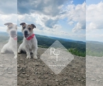 Small #6 Breeder Profile image