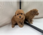 Small #4 Breeder Profile image