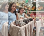 Small #1 Breeder Profile image