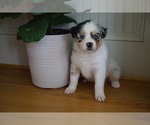 Small #8 Breeder Profile image