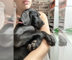 Small breeder photo
