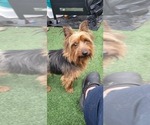 Small #339 Breeder Profile image