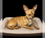 Small #9 Breeder Profile image