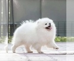 Small #11 Breeder Profile image
