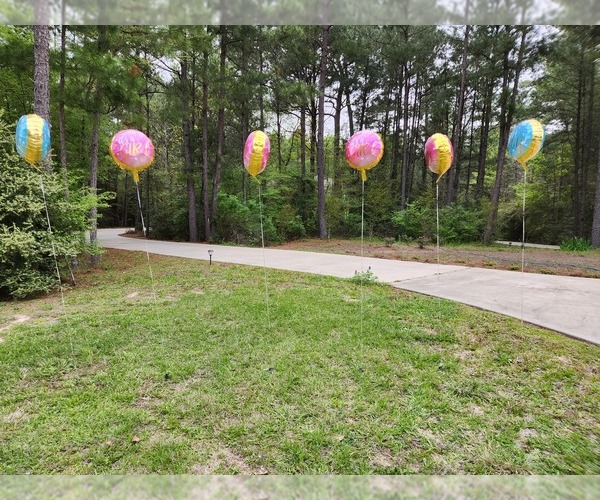 Medium Photo #1  Breeder Profile in HUNTSVILLE, TX, USA