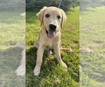 Small #3 Breeder Profile image