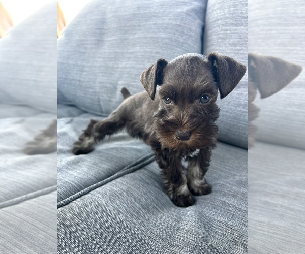 Medium Photo #5  Breeder Profile in GREELEY, CO, USA