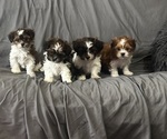 Small #3 Breeder Profile image