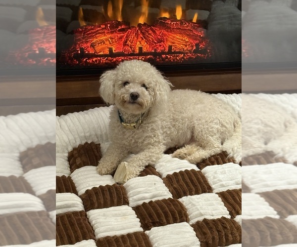 Medium Photo #2  Breeder Profile in PICKFORD, MI, USA