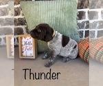 Small #11 Breeder Profile image