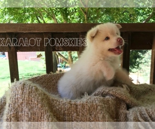 Medium Photo #1  Breeder Profile in GRASS VALLEY, CA, USA