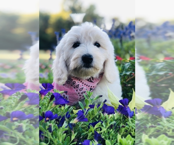 Medium Photo #1  Breeder Profile in HUNTINGTON, AR, USA