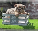 Small breeder photo