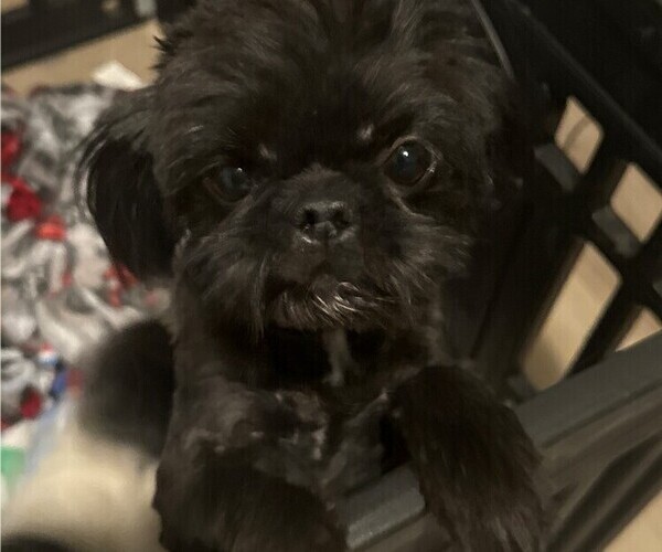 Medium Photo #3  Breeder Profile in ELIZABETH, CO, USA