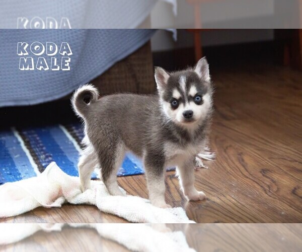 Medium Photo #15  Breeder Profile in CLARE, MI, USA