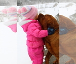 Small #16 Breeder Profile image